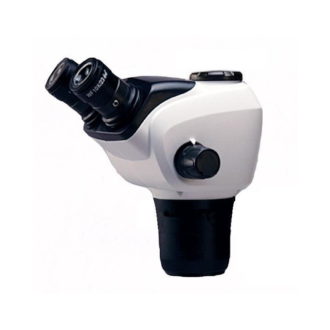 XTG-20